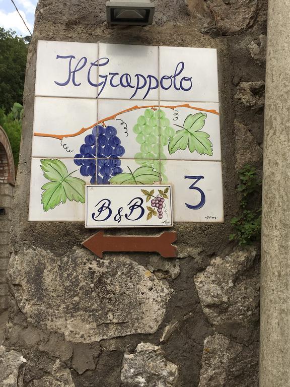 B&B Il Grappolo 아나카프리 외부 사진