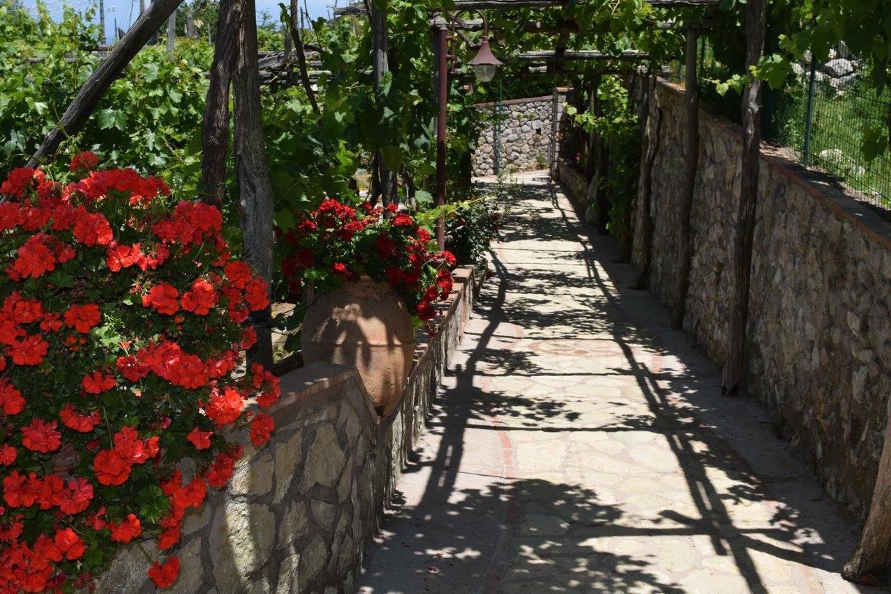 B&B Il Grappolo 아나카프리 외부 사진