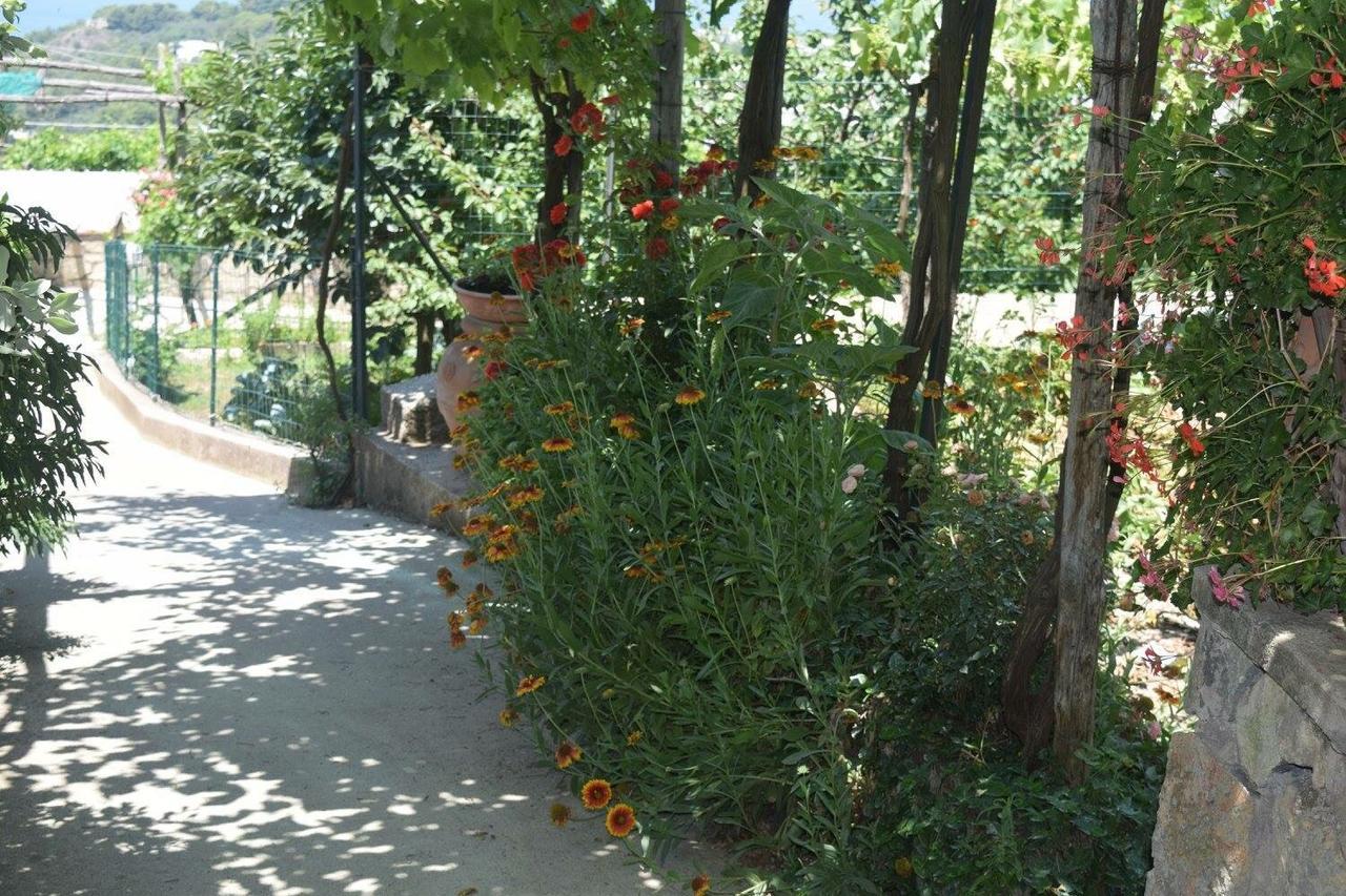 B&B Il Grappolo 아나카프리 외부 사진