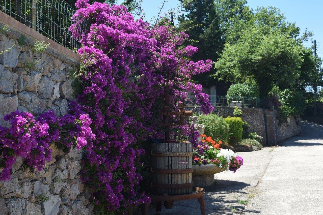 B&B Il Grappolo 아나카프리 외부 사진